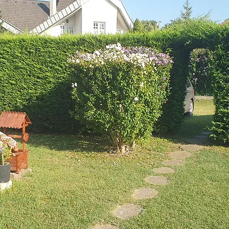 Πανσιόν Fonix Ueduelohaz